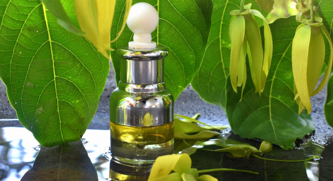 ylang joan ylang joan