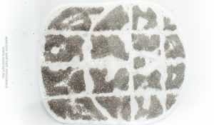 Gezichtsmasker2 Gezichtsmasker2
