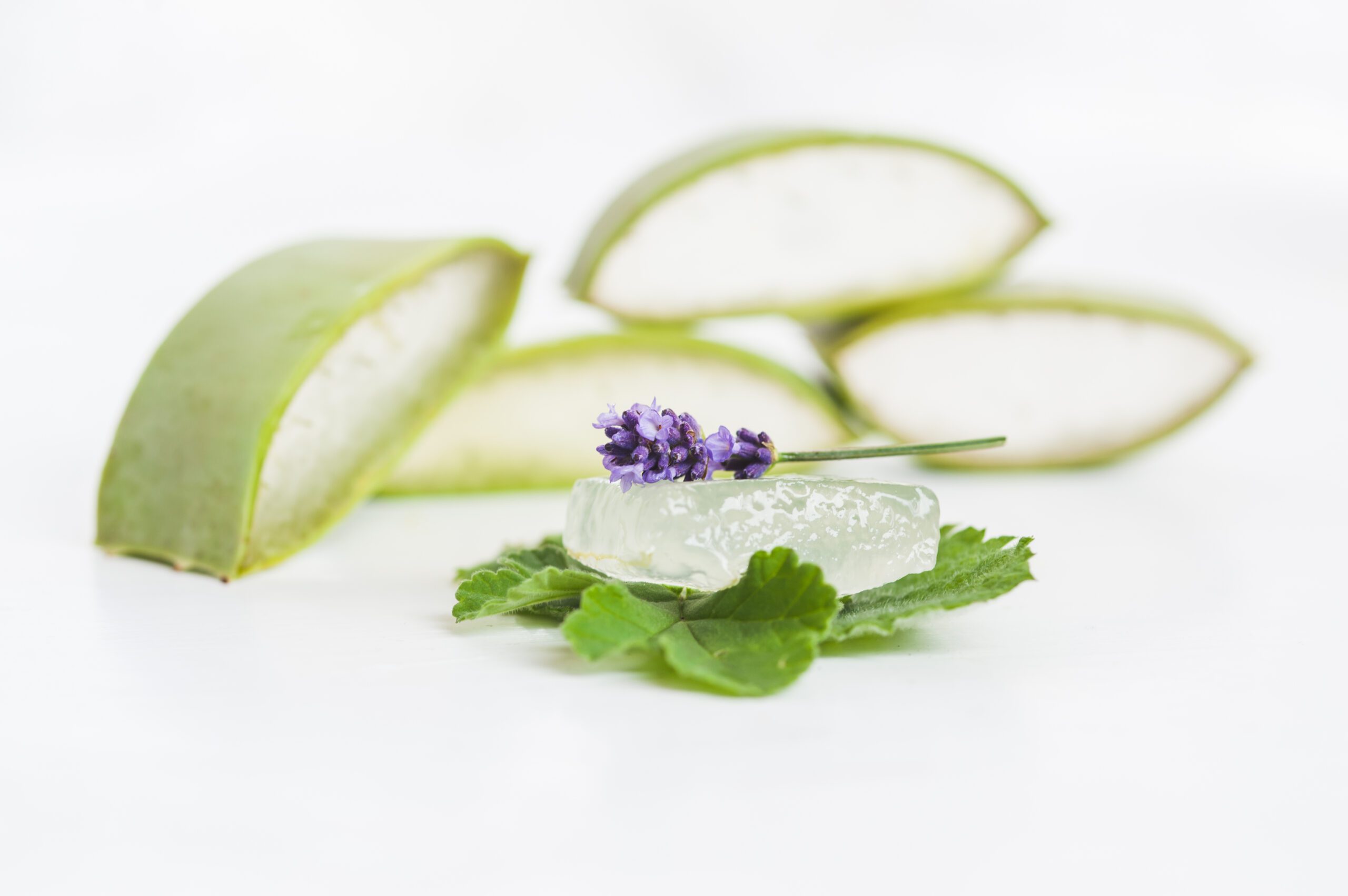 Aloë vera lavendel bij eczeem - Aromatherapie behandeling bij Eczeem